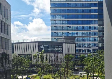 UV-activated tint glass